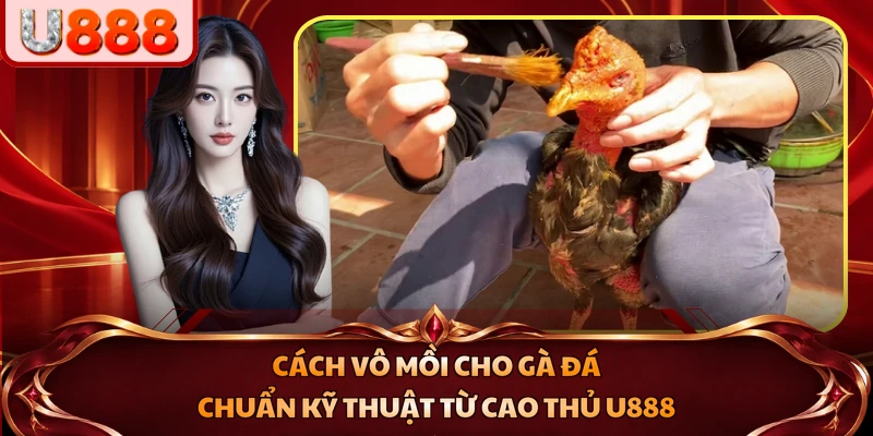 cách vô mồi cho gà đá