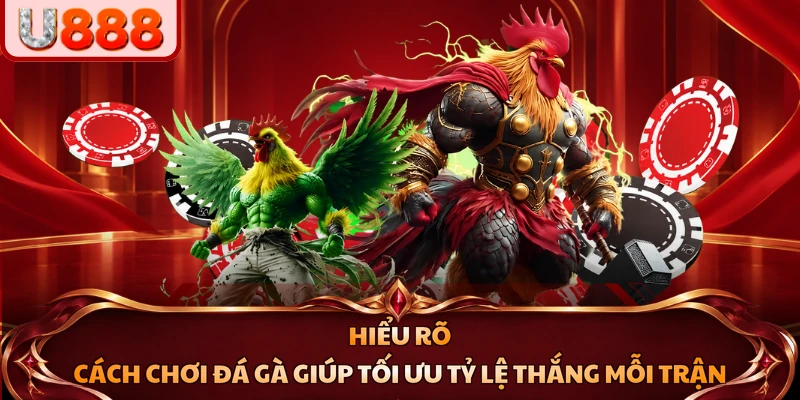 Hiểu rõ cách chơi đá gà giúp tối ưu tỷ lệ thắng mỗi trận