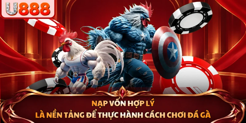 Nạp vốn hợp lý là nền tảng để thực hành cách chơi đá gà
