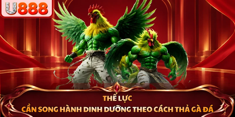 Thể lực cần song hành dinh dưỡng theo cách thả gà đá
